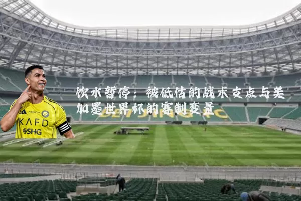 饮水暂停:被低估的战术支点与美加墨世界杯的赛制变量